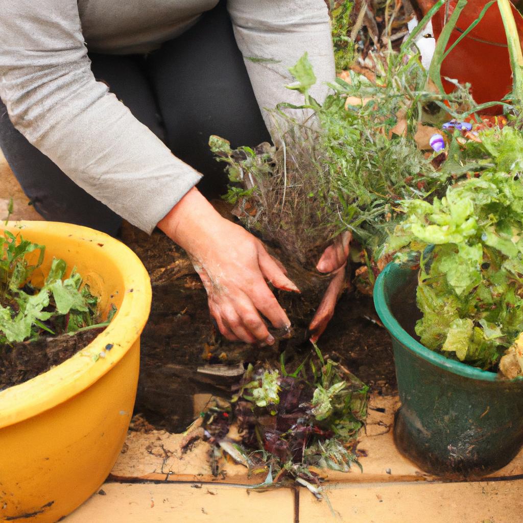 Person planting herbs in containers